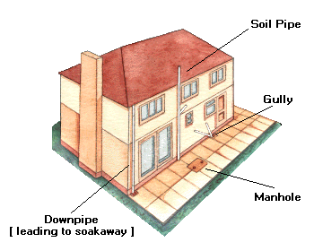 Rear of Property